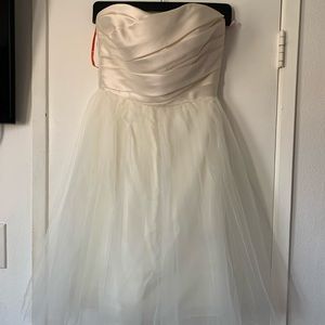 ML by Monique Lhillier Mini Dress